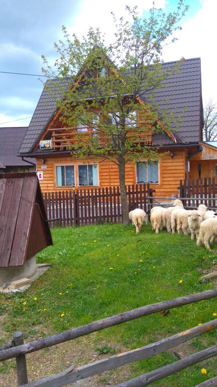 Pokoje U Sarnowskich Kościelisko Eksteriør bilde