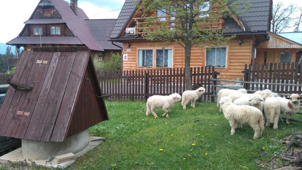 Pokoje U Sarnowskich Kościelisko Eksteriør bilde